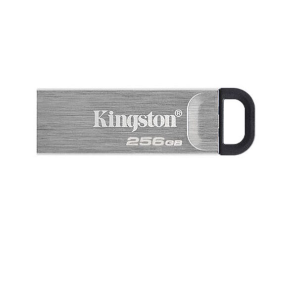 Հիշողության սարք Kingston 256GB DTKN