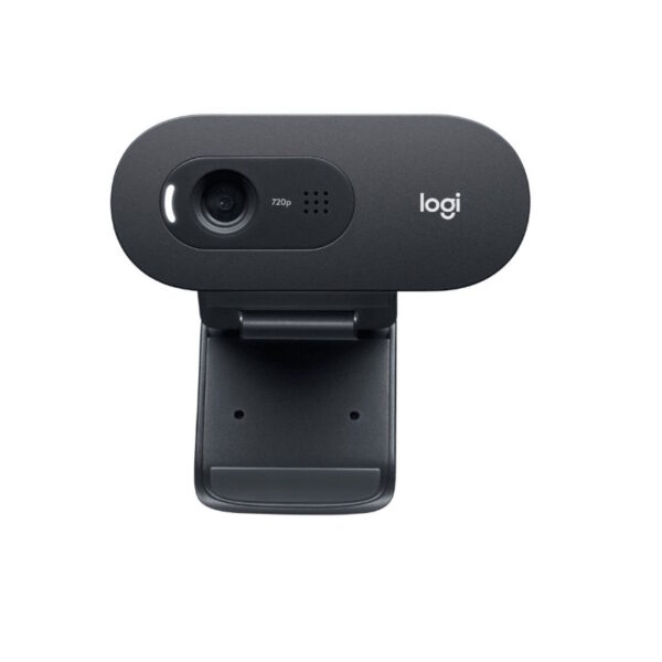 Վեբ-տեսախցիկ Logitech C505 HD (L960-001364)