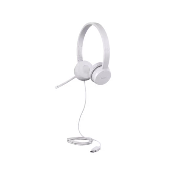 Ականջակալ Lenovo 110 Stereo USB GXD1E71385
